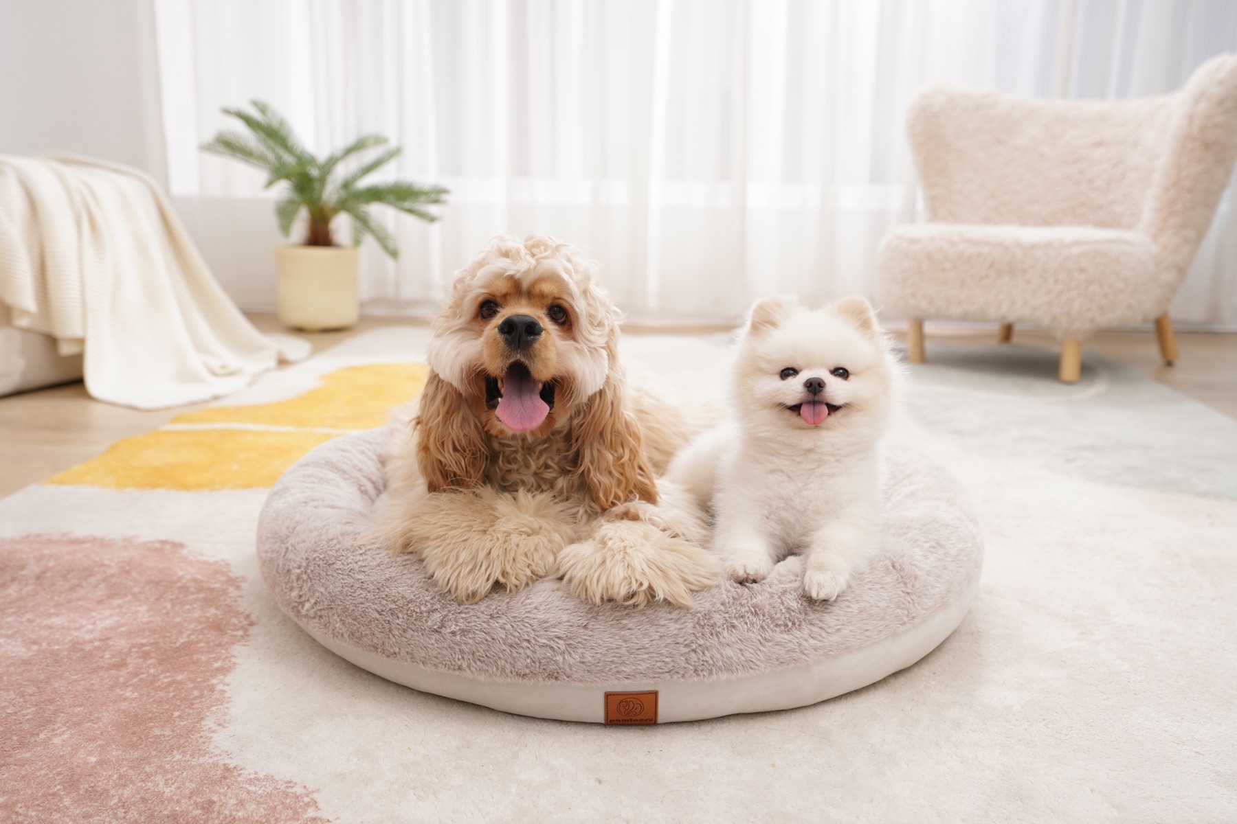 A dog and cat sharing the Pawtnerz bed