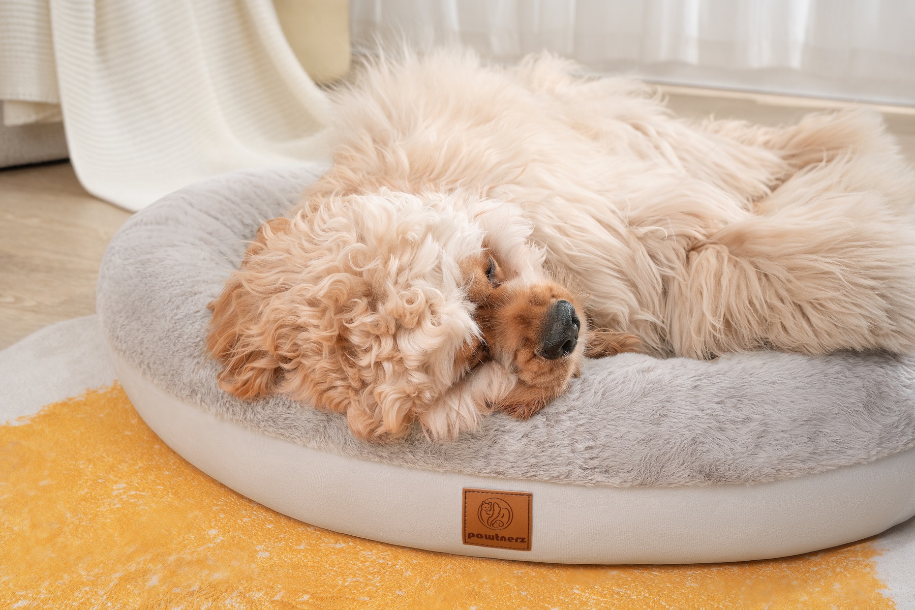 A cocker spaniel resting in the Pawtnerz donut bed