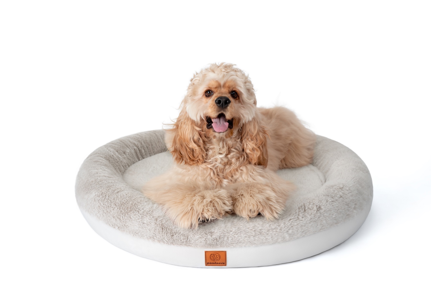 Cocker spaniel sitting happily in the Pawtnerz donut bed