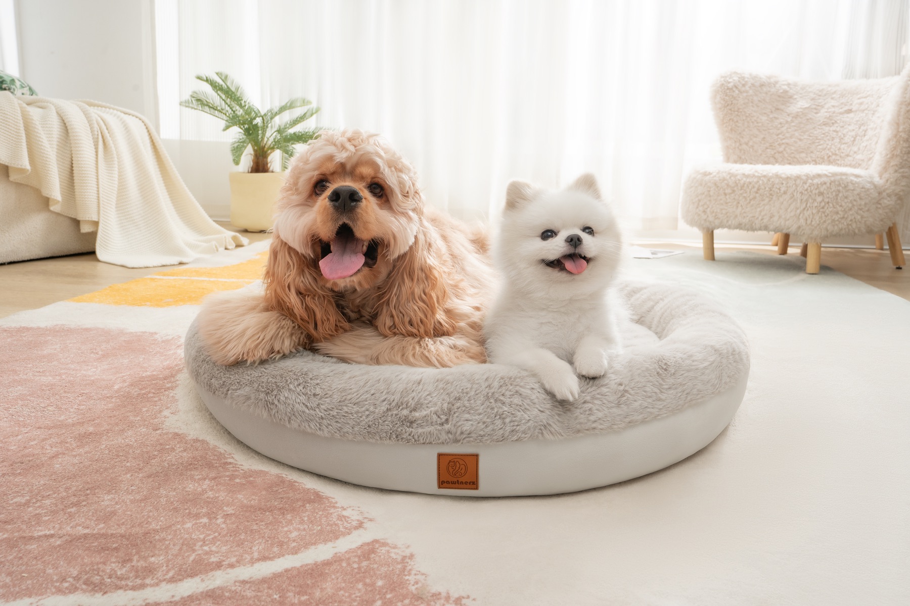 Two happy dogs relaxing together in a Pawtnerz bed